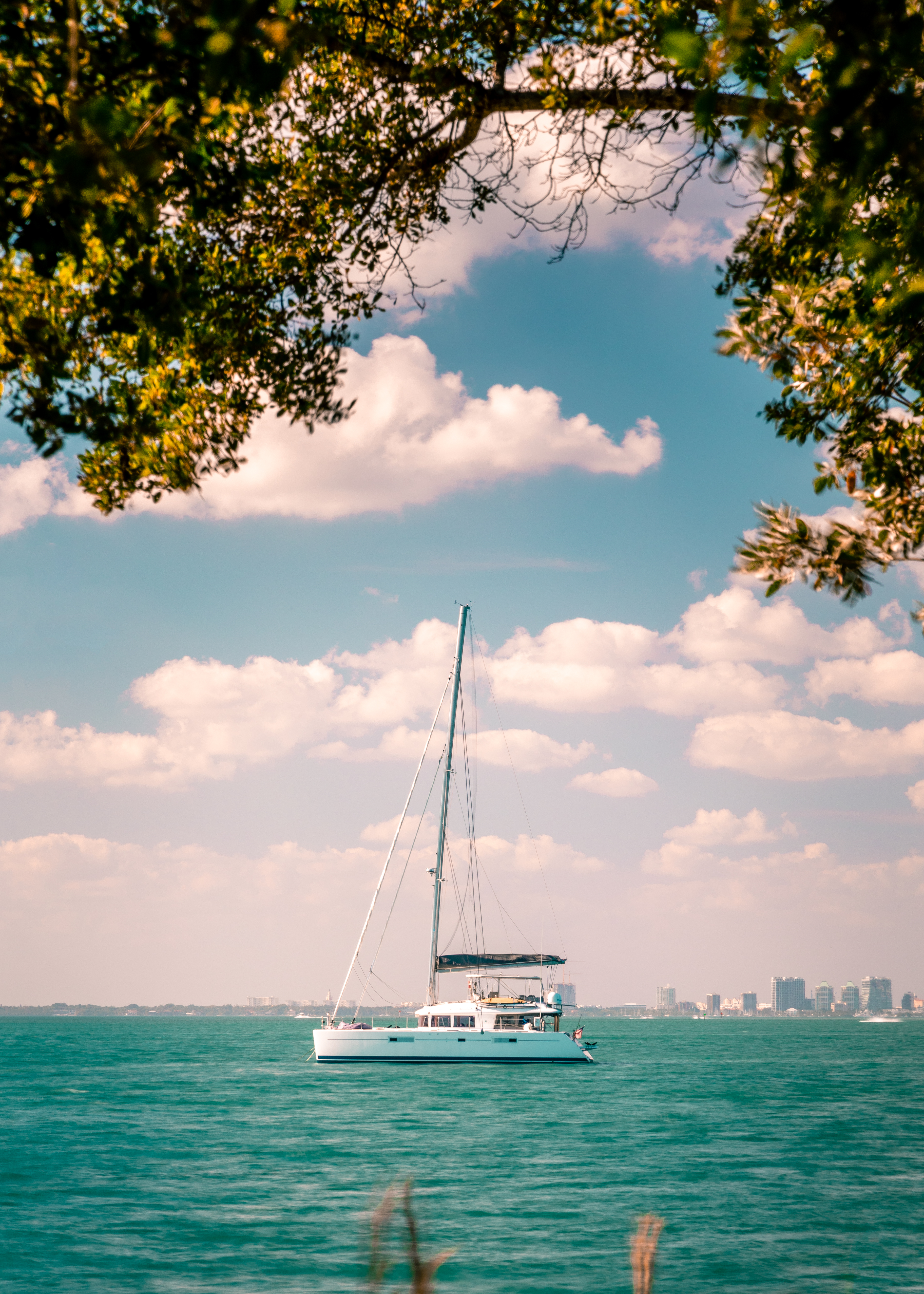 Sailboat in the water